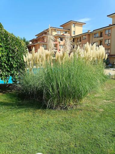Magic Dreams Apartments Свети-Влас Экстерьер фото